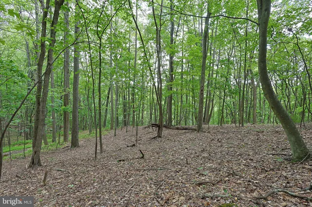 a view of outdoor space with chairs
