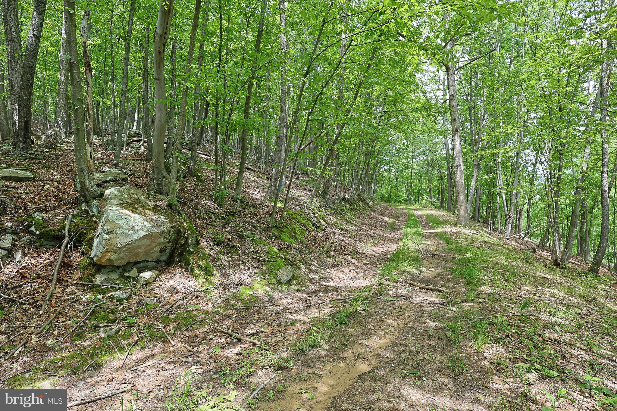 14600 Williams Road Southeast Cumberland, MD 21502 - Photo 50 of 108 a view of outdoor space and trees