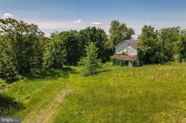 a view of an ocean with a lush green forest