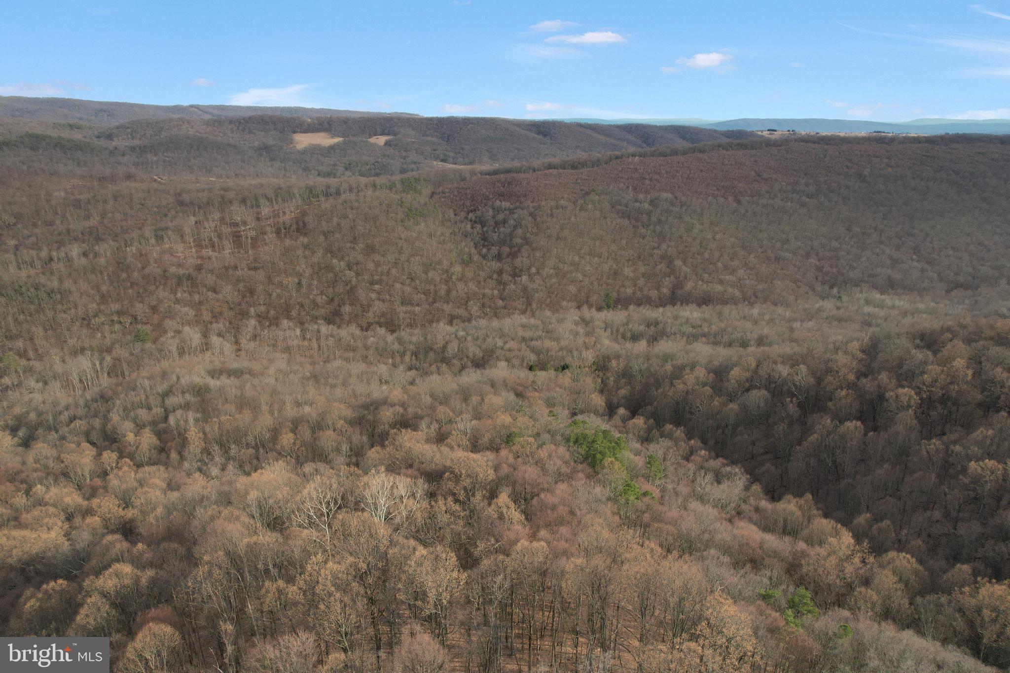 14600 Williams Road Southeast Cumberland, MD 21502 - Photo 59 of 109