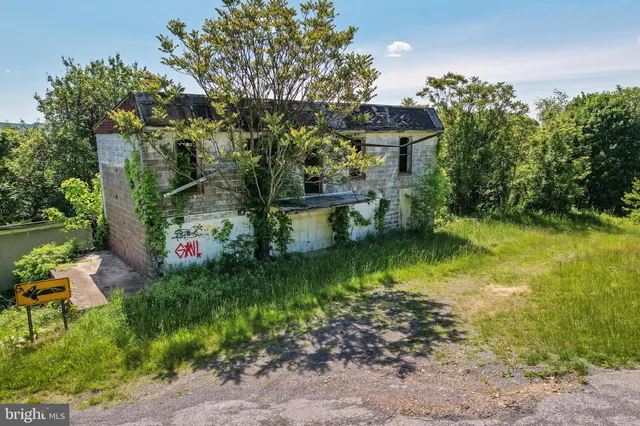a view of a green field with lots of bushes