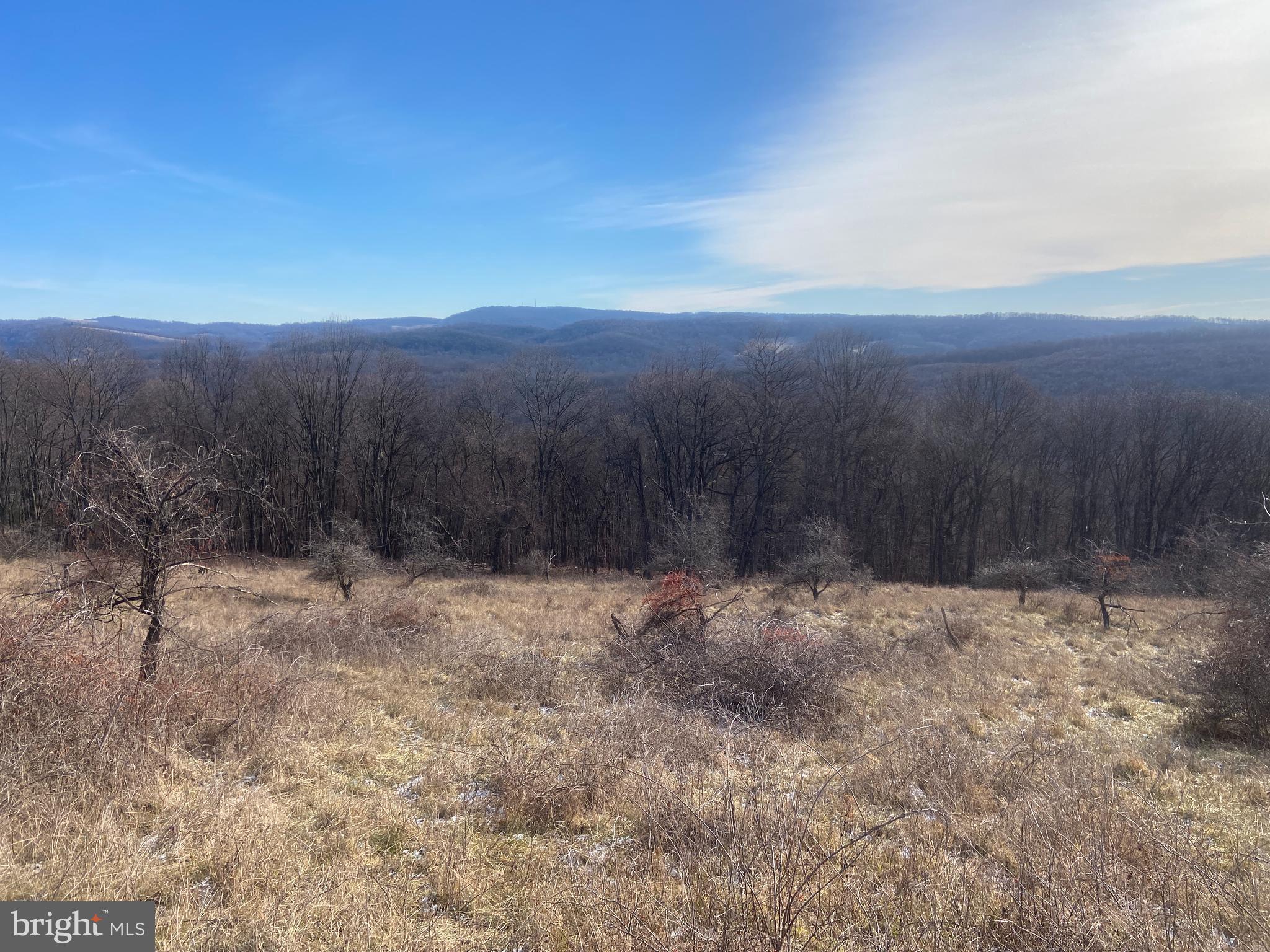 14600 Williams Road Southeast Cumberland, MD 21502 - Photo 81 of 109 a view of a yard