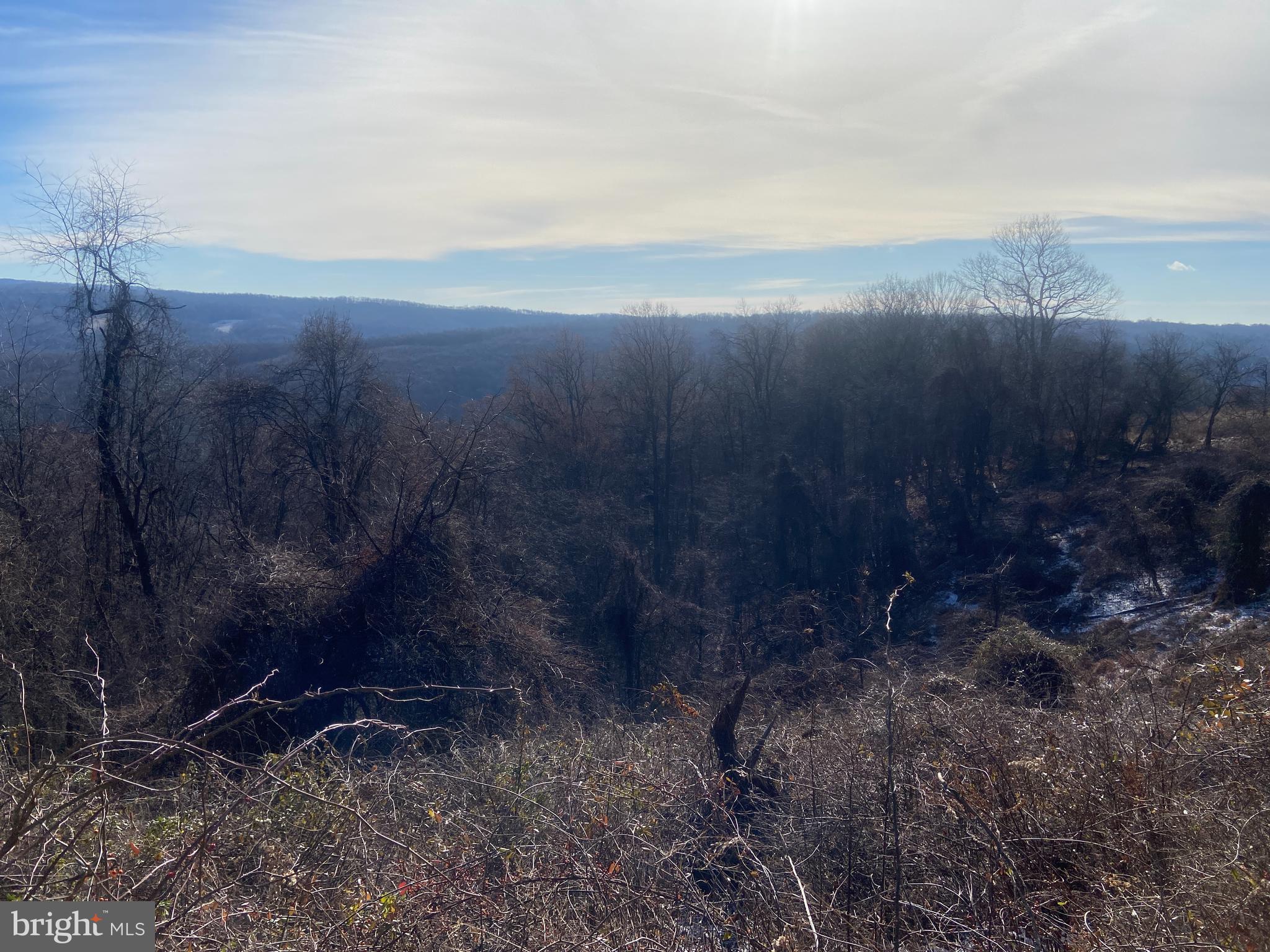 14600 Williams Road Southeast Cumberland, MD 21502 - Photo 81 of 108 a view of a yard