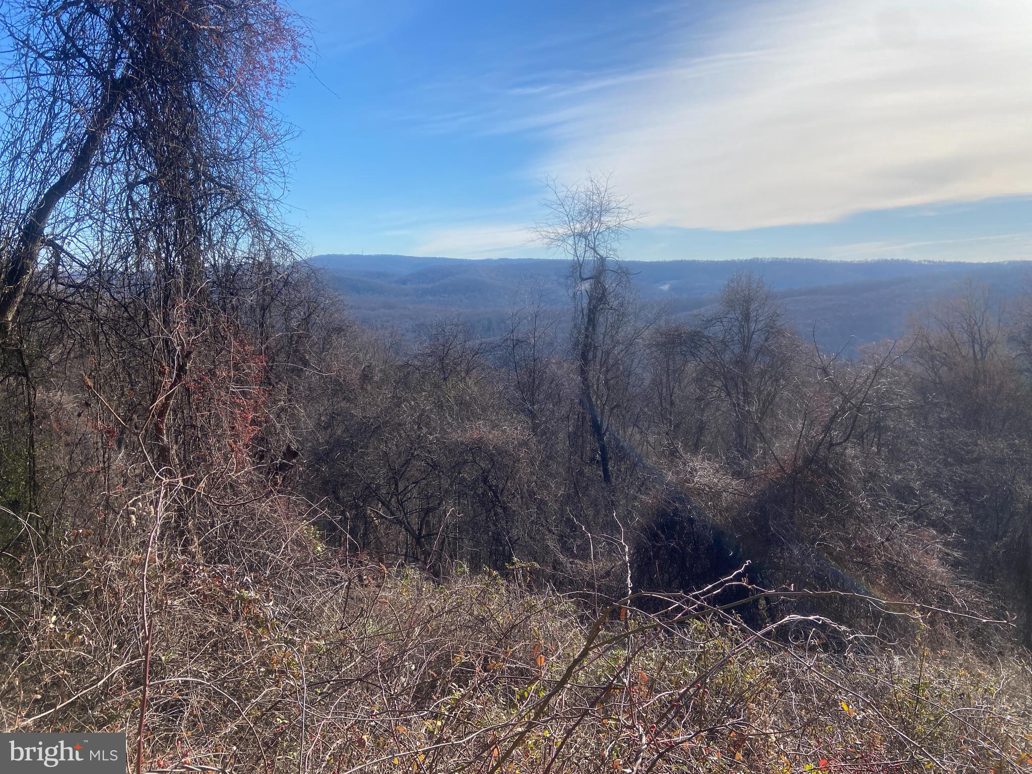 14600 Williams Road Southeast Cumberland, MD 21502 - Photo 82 of 108 a view of a yard