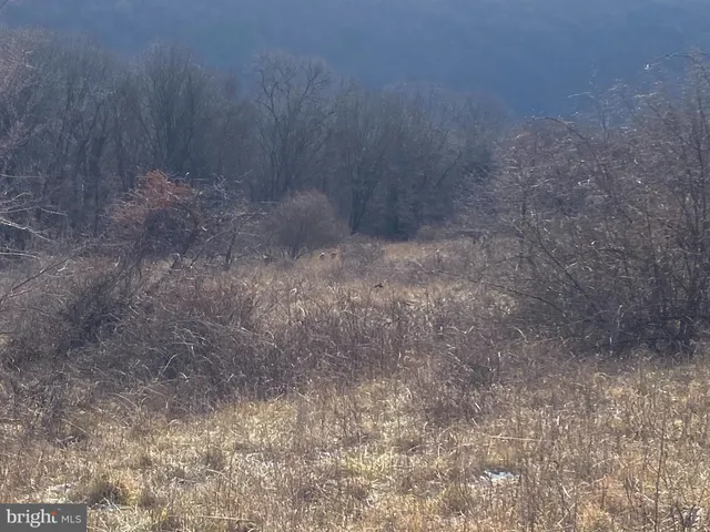 $749,000 | 14600 Williams Road Southeast, Cumberland, MD 21502