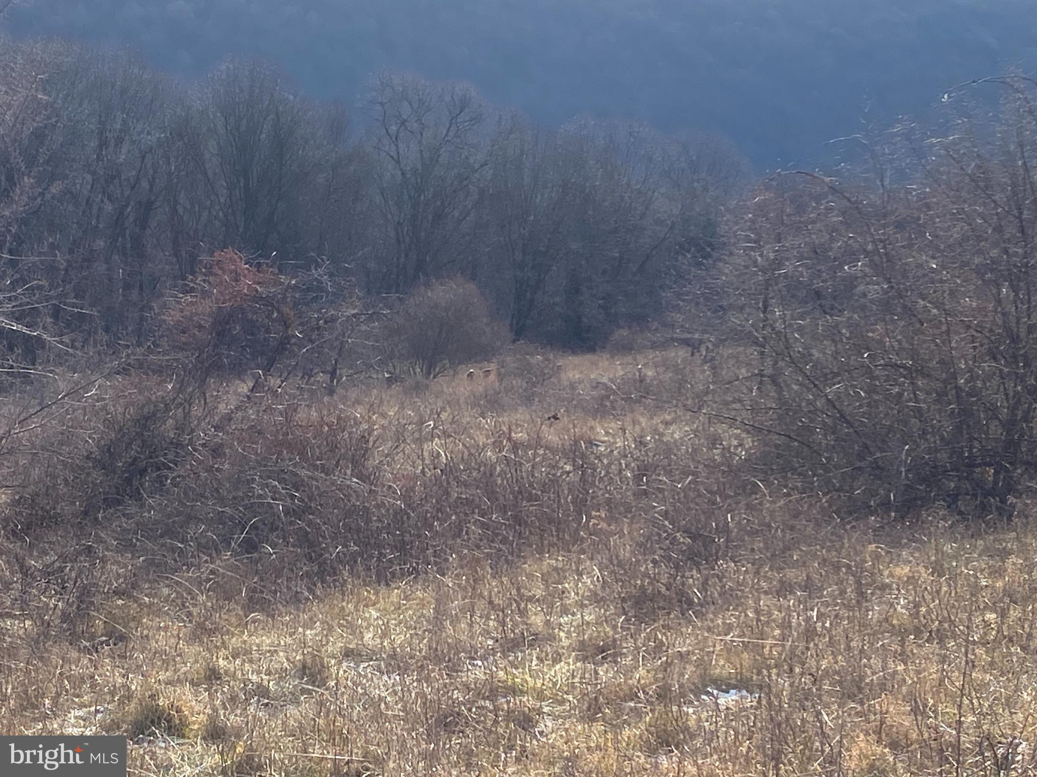 14600 Williams Road Southeast Cumberland, MD 21502 - Photo 88 of 108