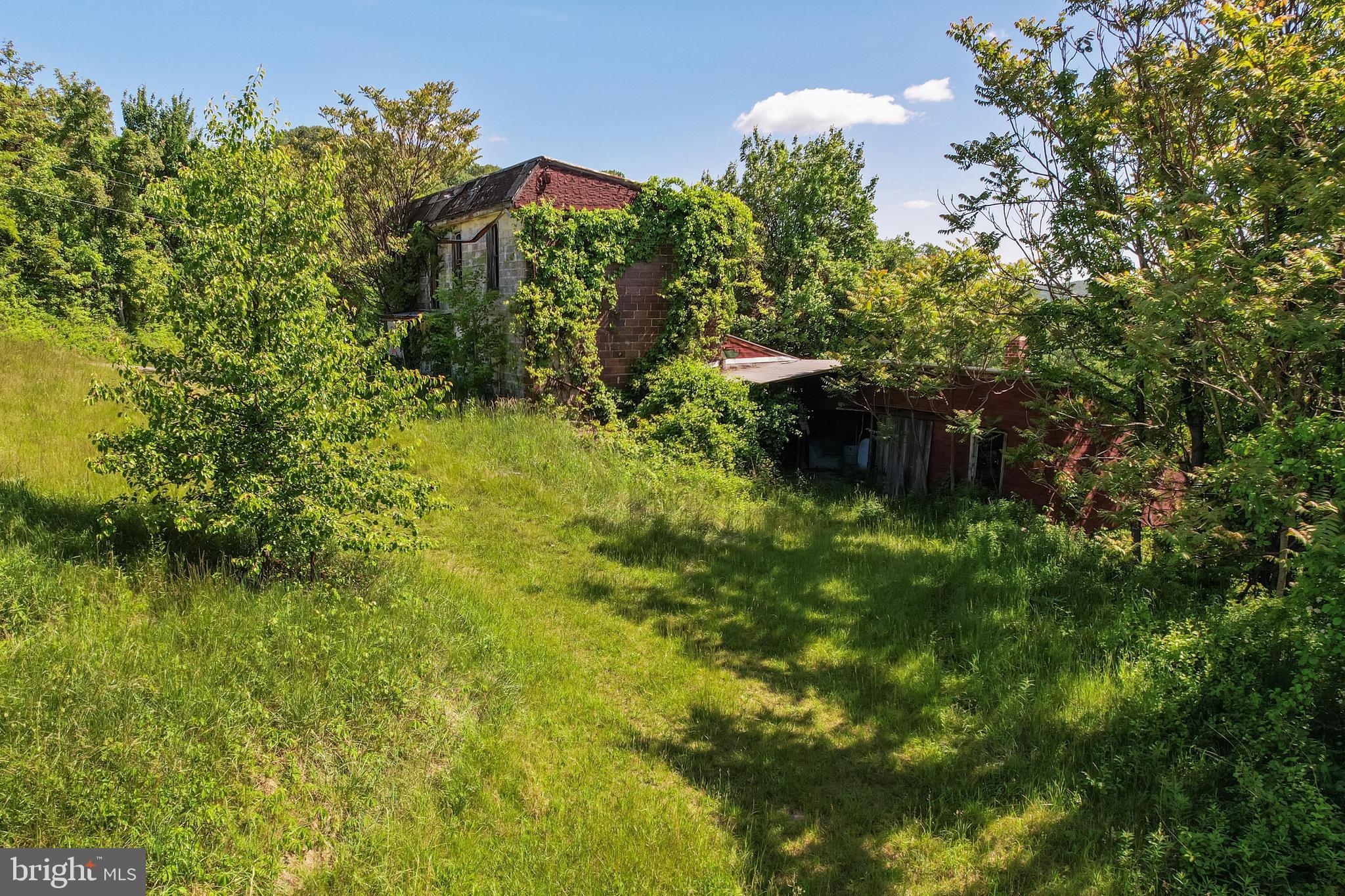 14600 Williams Road Southeast Cumberland, MD 21502 - Photo 9 of 109 a view of a garden