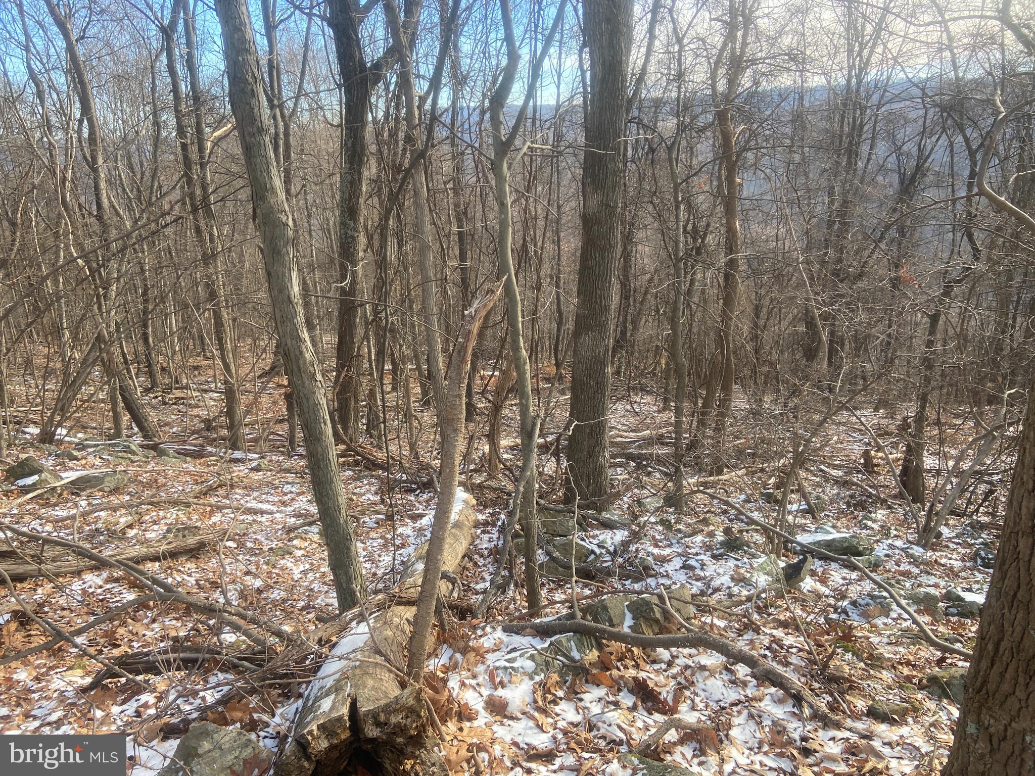 14600 Williams Road Southeast Cumberland, MD 21502 - Photo 91 of 108 a view of under a large tree