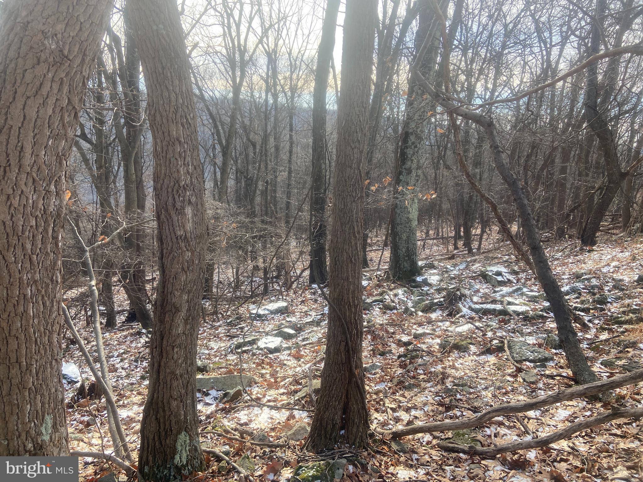 14600 Williams Road Southeast Cumberland, MD 21502 - Photo 92 of 108