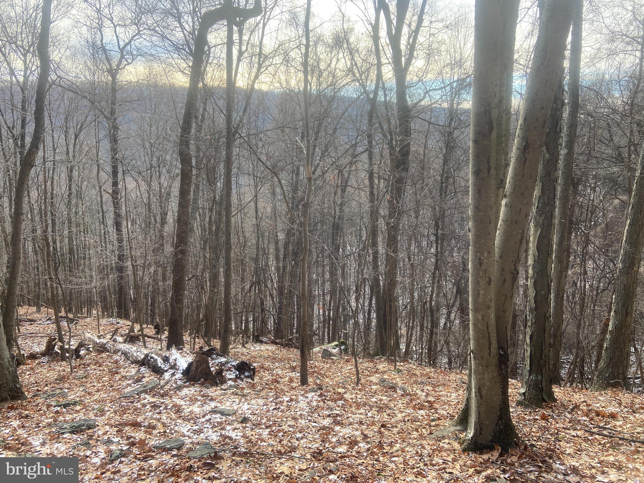 14600 Williams Road Southeast Cumberland, MD 21502 - Photo 95 of 108