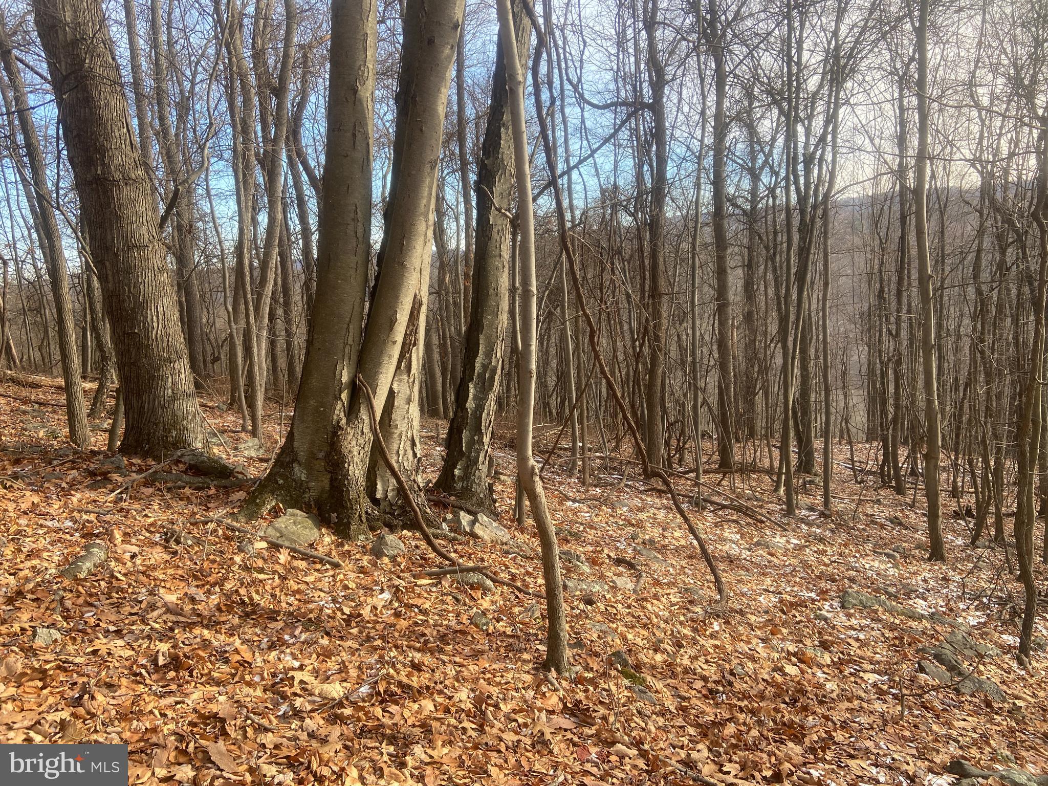 14600 Williams Road Southeast Cumberland, MD 21502 - Photo 96 of 108