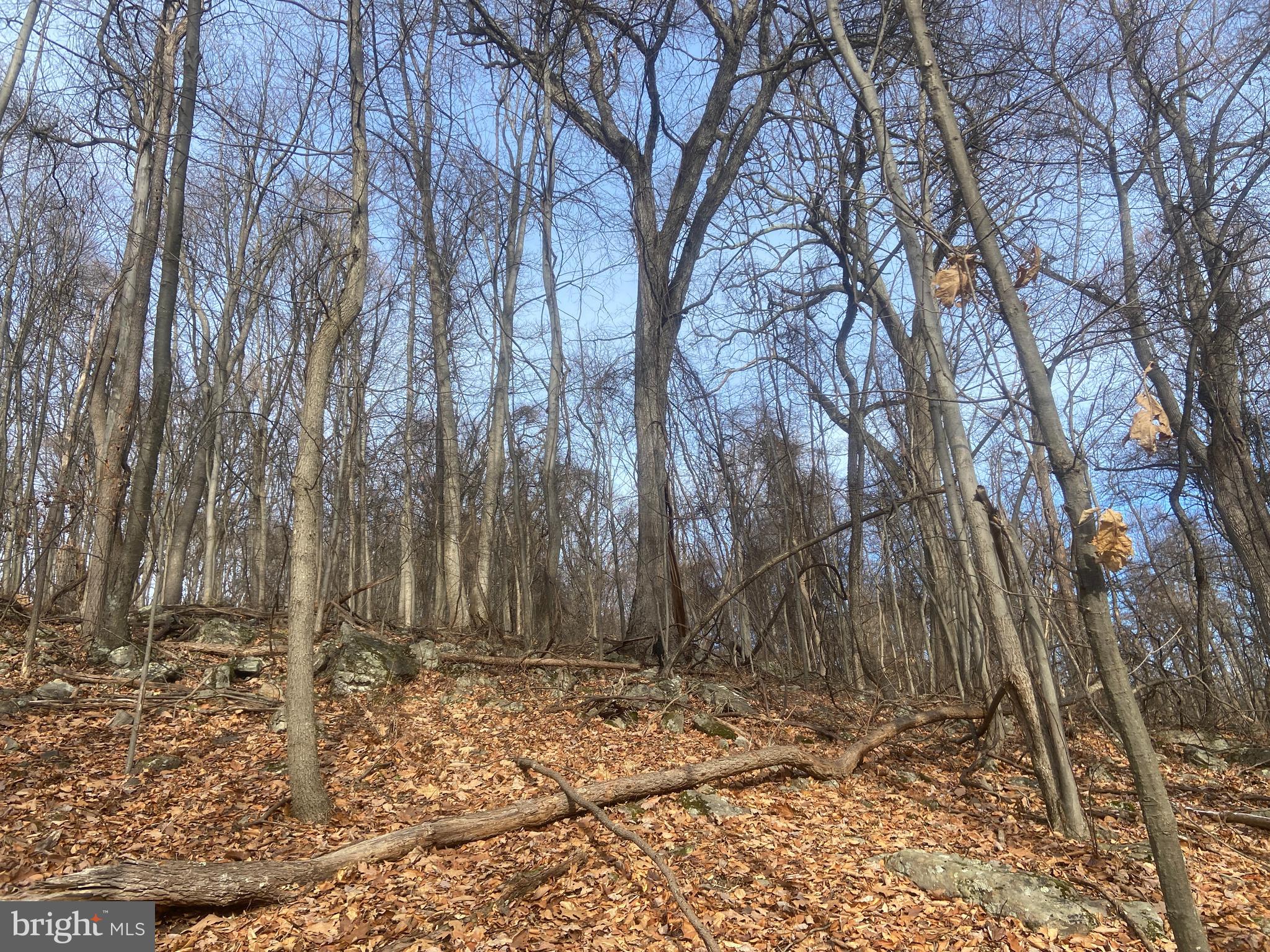 14600 Williams Road Southeast Cumberland, MD 21502 - Photo 97 of 108