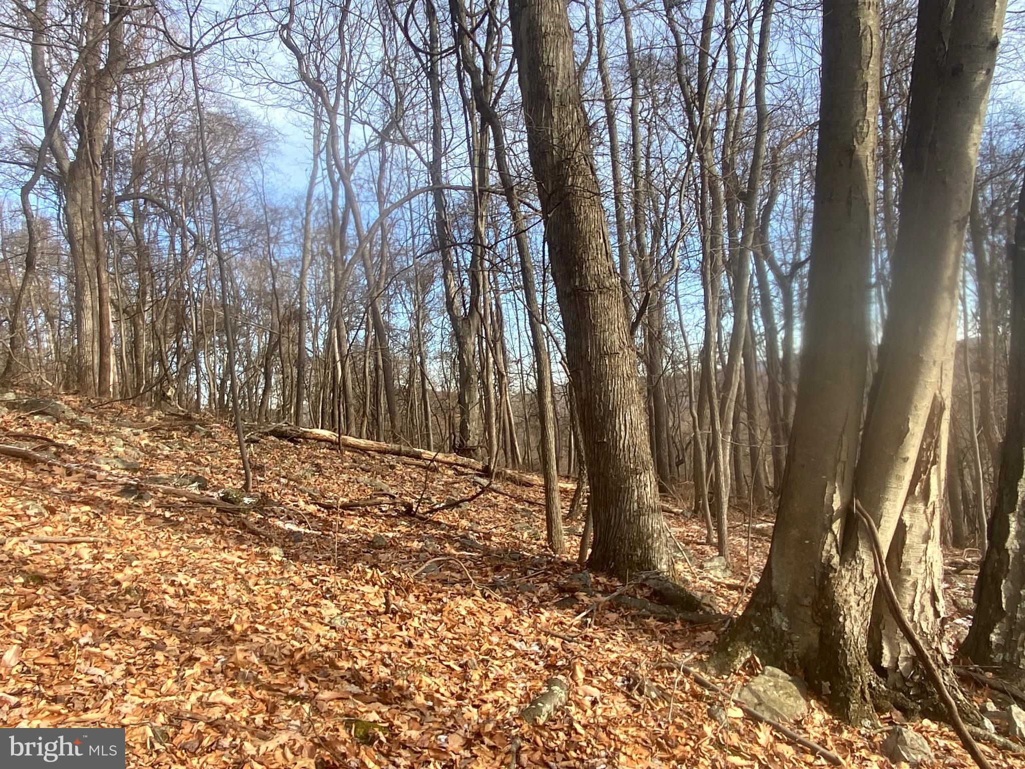 14600 Williams Road Southeast Cumberland, MD 21502 - Photo 98 of 108 a view of a backyard of the house