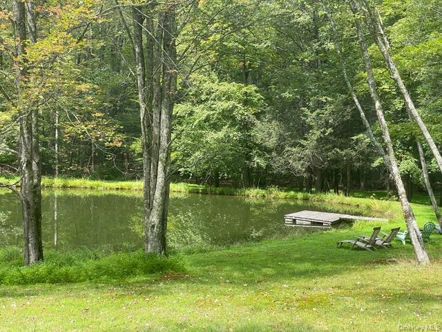 Undisclosed Address Stone Ridge, NY 12484 - Photo 14 of 18