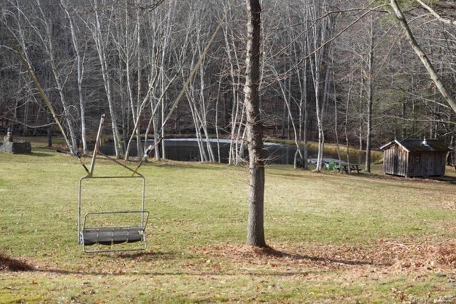 Undisclosed Address Stone Ridge, NY 12484 - Photo 16 of 18