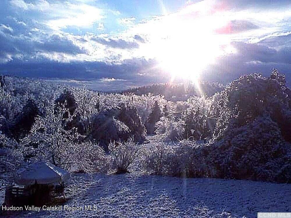 7 Harmon Heights Road Chatham, NY 12037 - Photo 24 of 25 a view of a city with lots of plants and trees