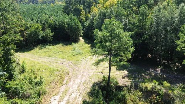 $786,000 | 1 Lowcountry Highway, Ruffin, SC 29475