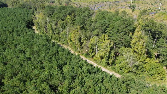 $786,000 | 1 Lowcountry Highway, Ruffin, SC 29475