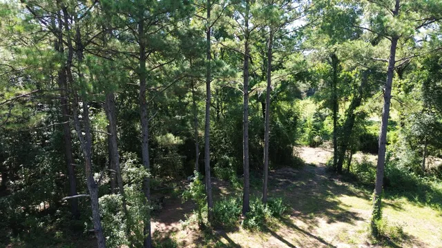 $786,000 | 1 Lowcountry Highway, Ruffin, SC 29475