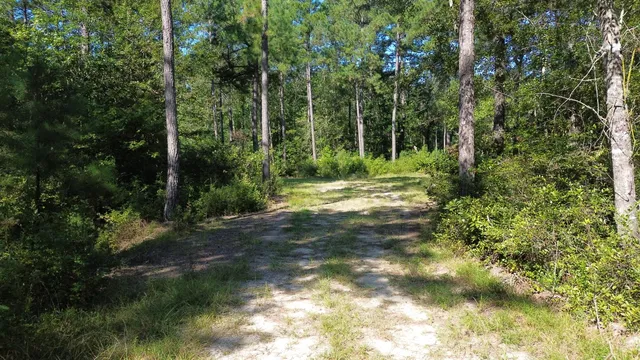 $786,000 | 1 Lowcountry Highway, Ruffin, SC 29475