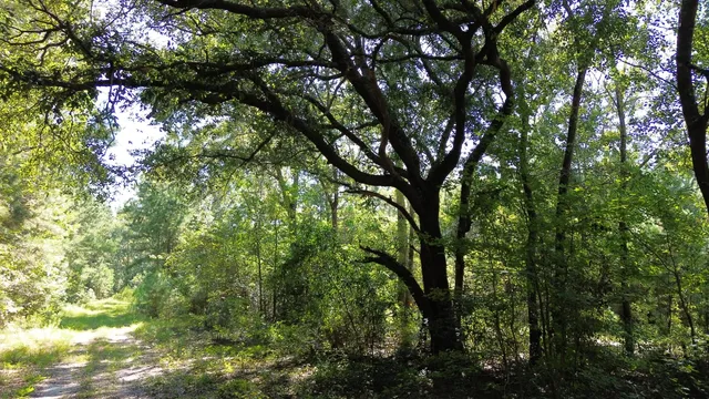 $786,000 | 1 Lowcountry Highway, Ruffin, SC 29475