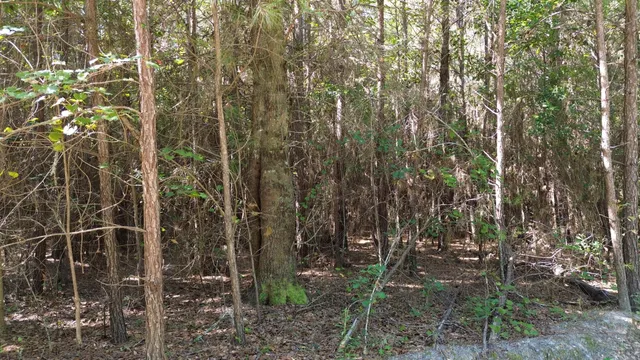 $786,000 | 1 Lowcountry Highway, Ruffin, SC 29475