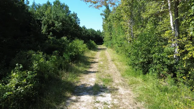 $786,000 | 1 Lowcountry Highway, Ruffin, SC 29475