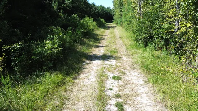 $786,000 | 1 Lowcountry Highway, Ruffin, SC 29475