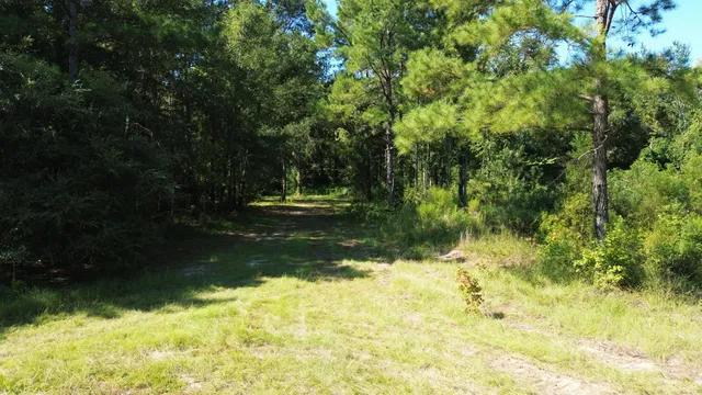 $786,000 | 1 Lowcountry Highway, Ruffin, SC 29475