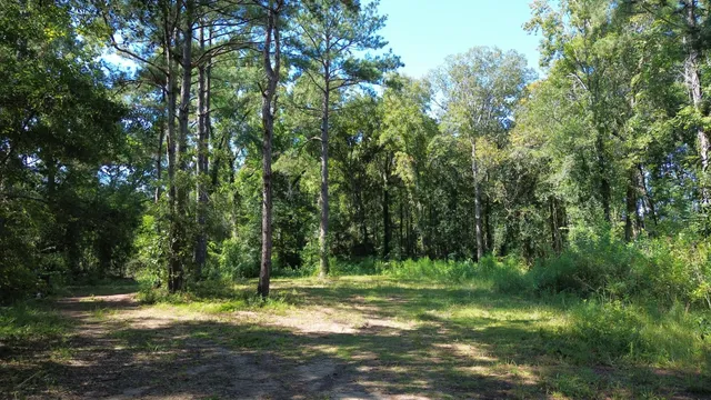 $786,000 | 1 Lowcountry Highway, Ruffin, SC 29475