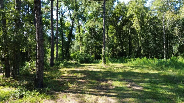 $786,000 | 1 Lowcountry Highway, Ruffin, SC 29475