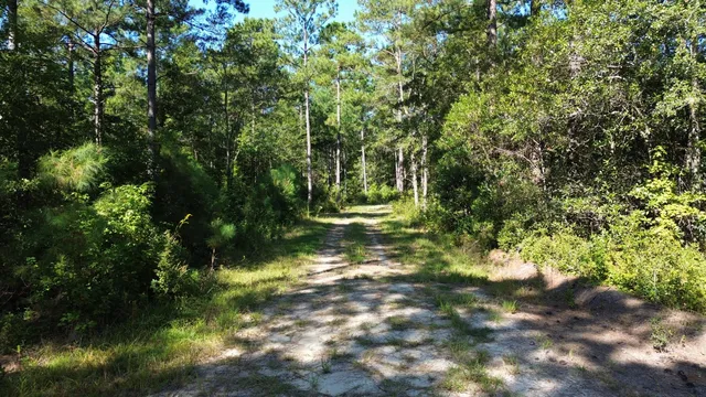 $786,000 | 1 Lowcountry Highway, Ruffin, SC 29475