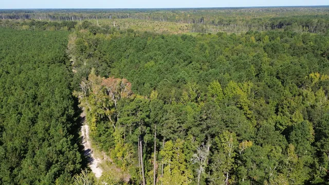 $786,000 | 1 Lowcountry Highway, Ruffin, SC 29475