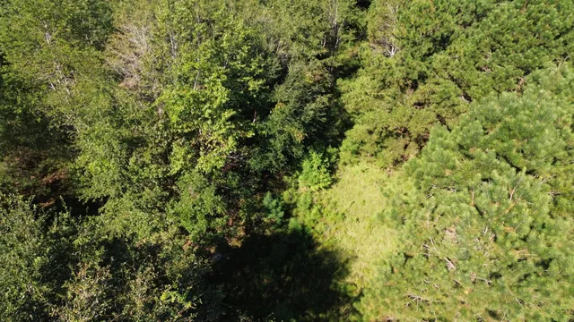 $786,000 | 1 Lowcountry Highway, Ruffin, SC 29475