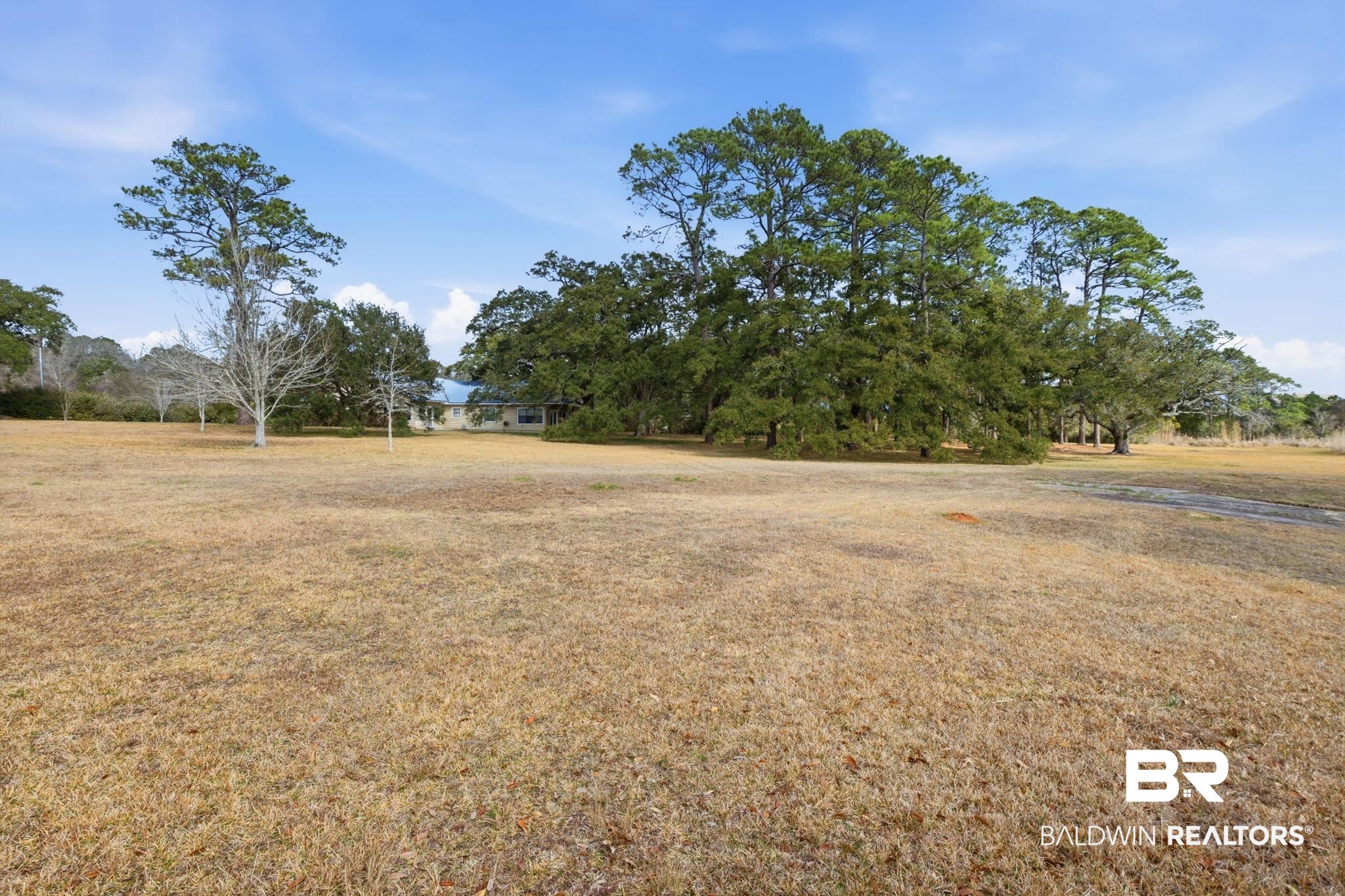 15025 Bellingrath Road Coden, AL 36523 - Photo 10 of 79 View of grassy yard