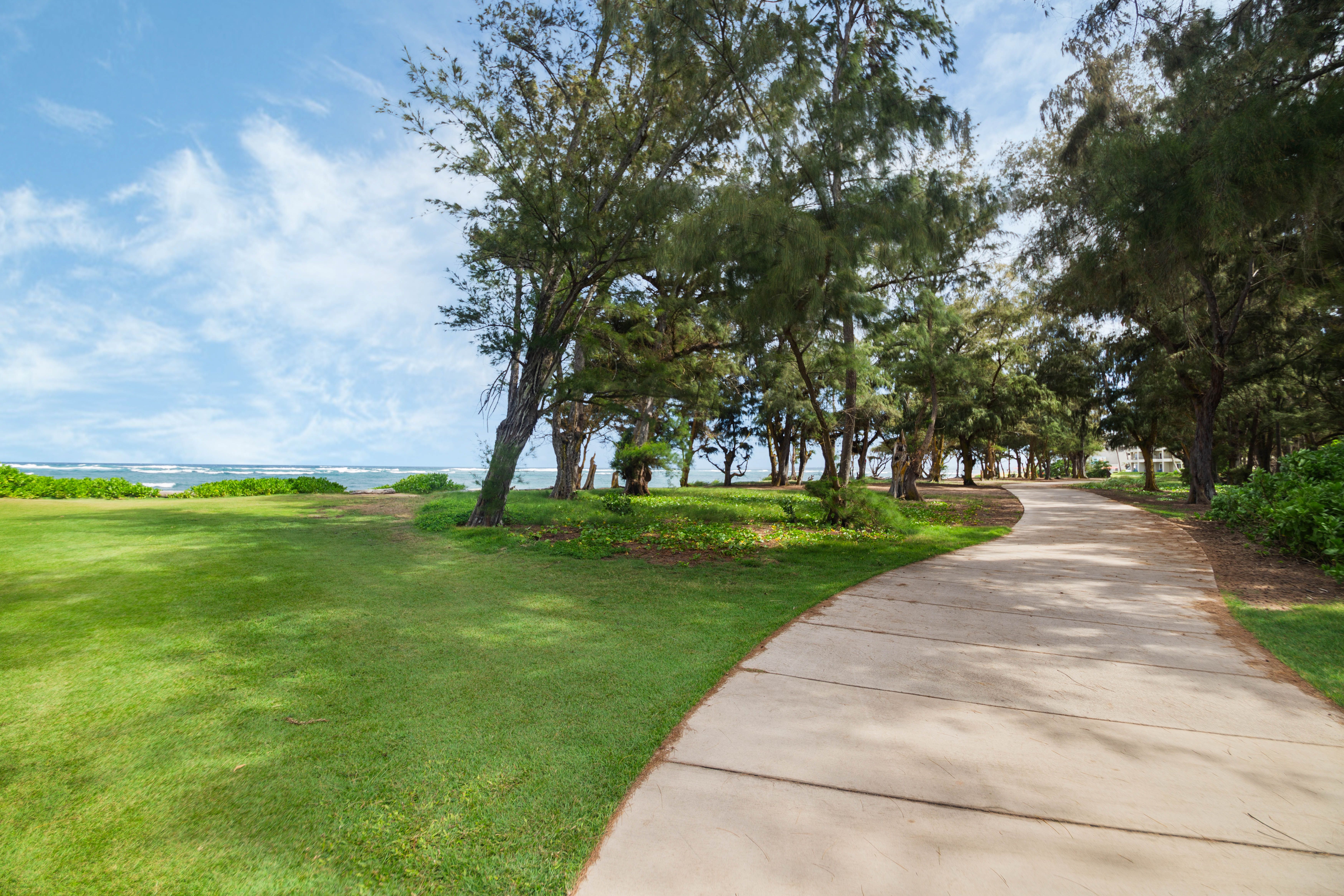 4461 Kamoa Road, Unit F11 Kapaa, HI 96746 - Photo 22 of 24