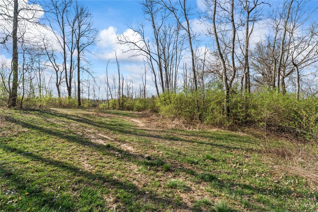 2425 Middleboro Road Clarksville, OH 45113 - Photo 17 of 91 A tranquil, undeveloped lot awaits your vision, surrounded by a natural wooded landscape.