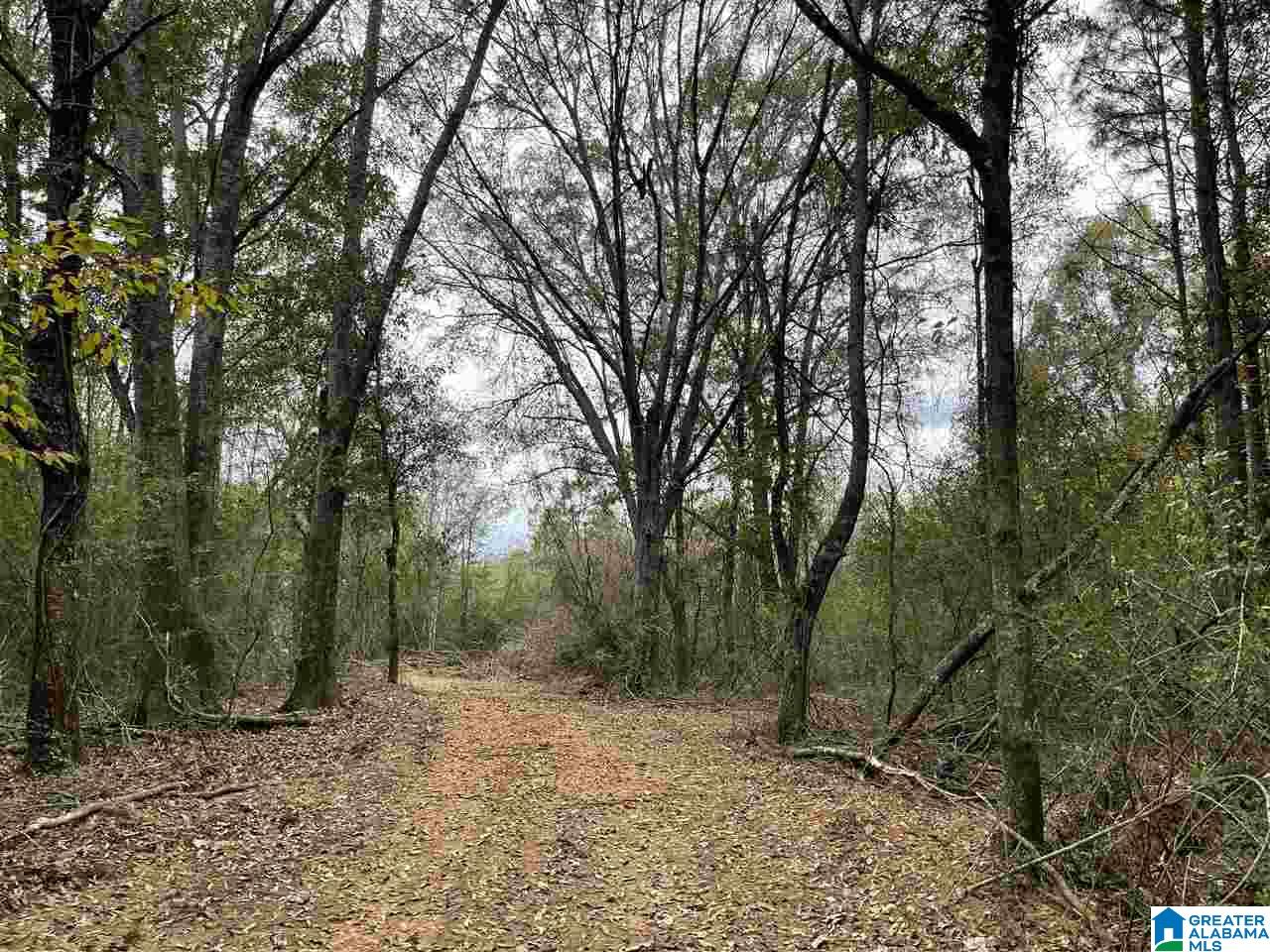9 Highway 9, Unit 12 Heflin, AL 36264 - Photo 1 of 10