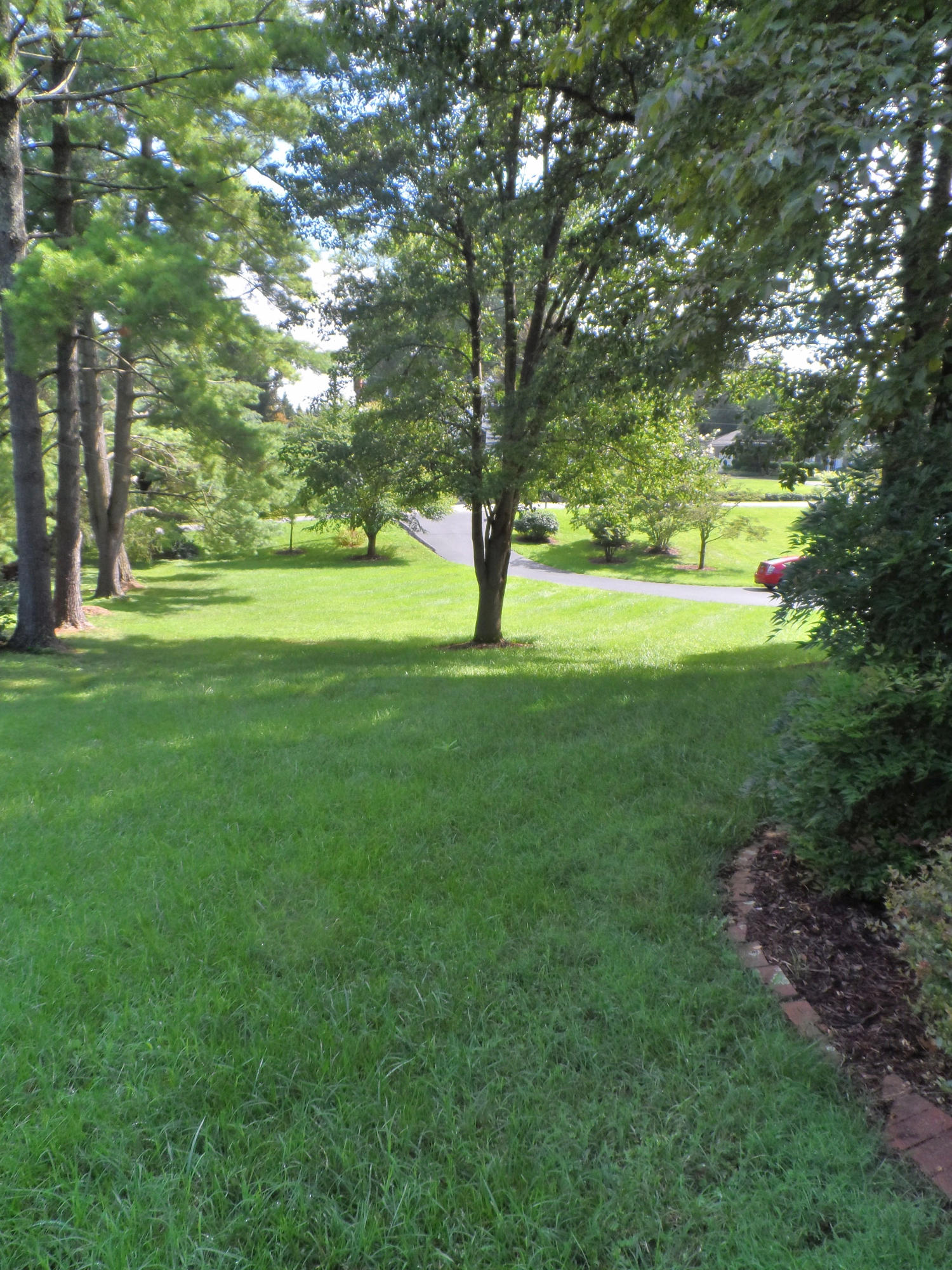 3411 Windsor Road Roanoke, VA 24018 - Photo 27 of 29 side yard to front yard
