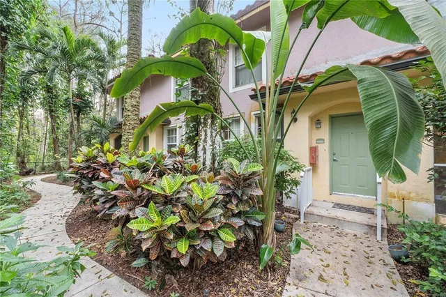 a close up of a flower in a garden