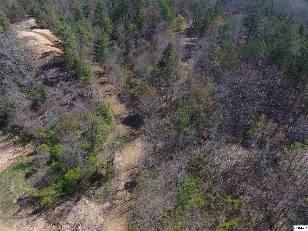3466 Highway 25 Del Rio, TN 37727 - Photo 22 of 23