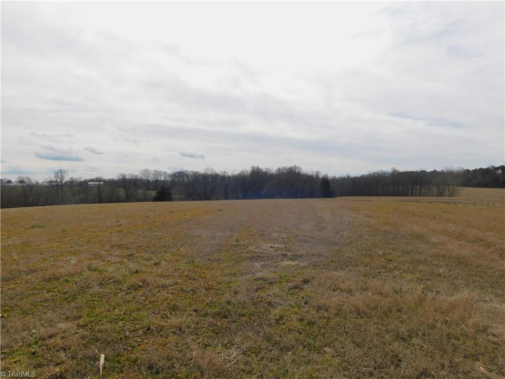 0 Anderson Road Dobson, NC 27017 - Photo 2 of 18 Gallery Image 2