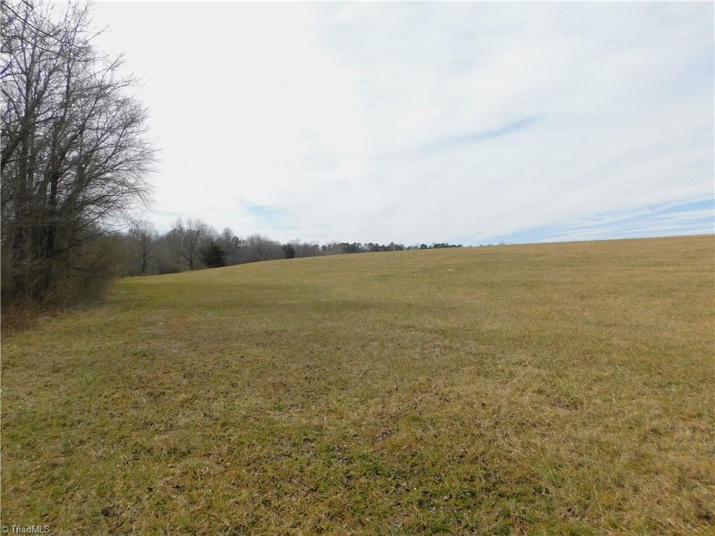 0 Anderson Road Dobson, NC 27017 - Photo 11 of 18 Gallery Image 11