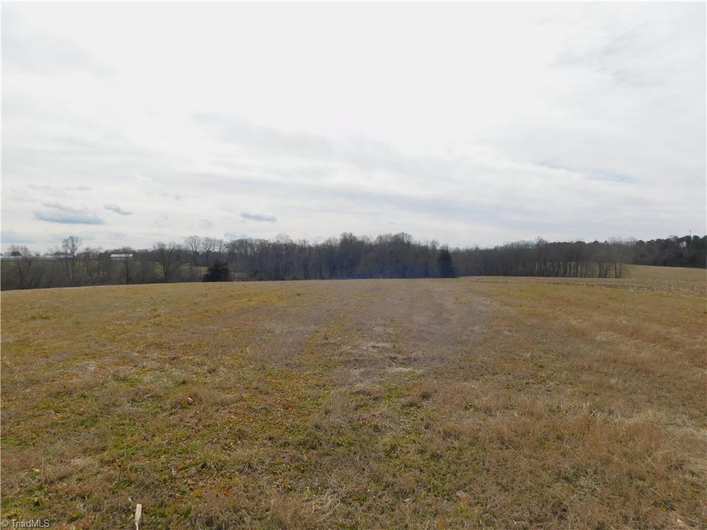 0 Anderson Road Dobson, NC 27017 - Photo 3 of 18 Gallery Image 3