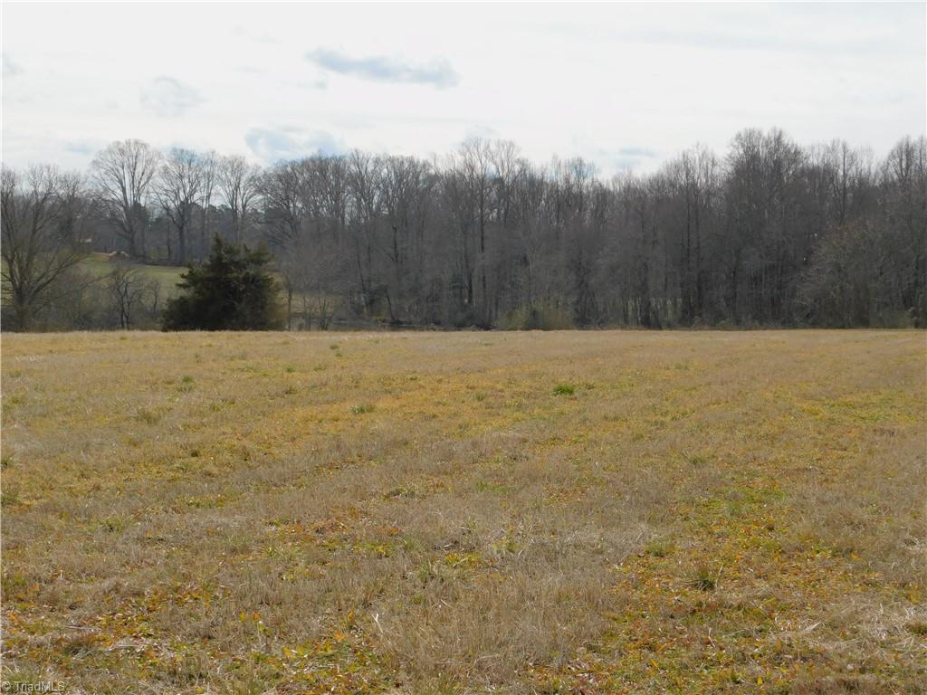 0 Anderson Road Dobson, NC 27017 - Photo 4 of 18 Gallery Image 4