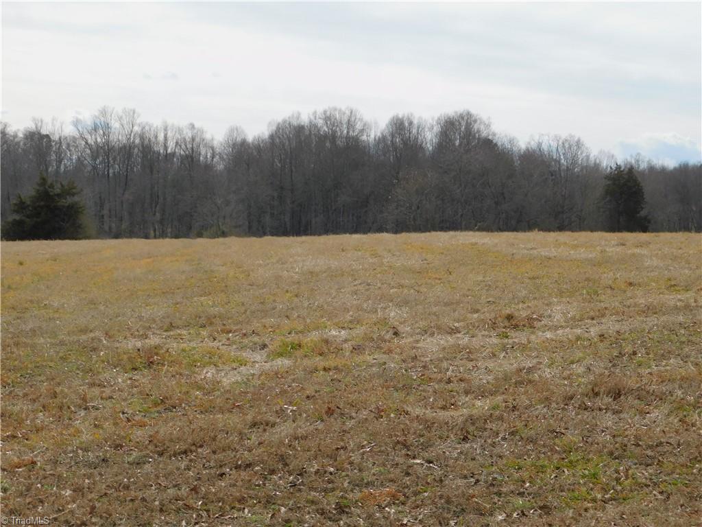 0 Anderson Road Dobson, NC 27017 - Photo 7 of 18 Gallery Image 7