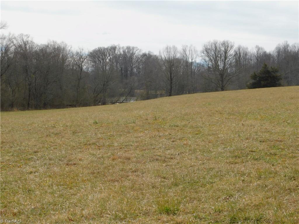 0 Anderson Road Dobson, NC 27017 - Photo 8 of 18 Gallery Image 8