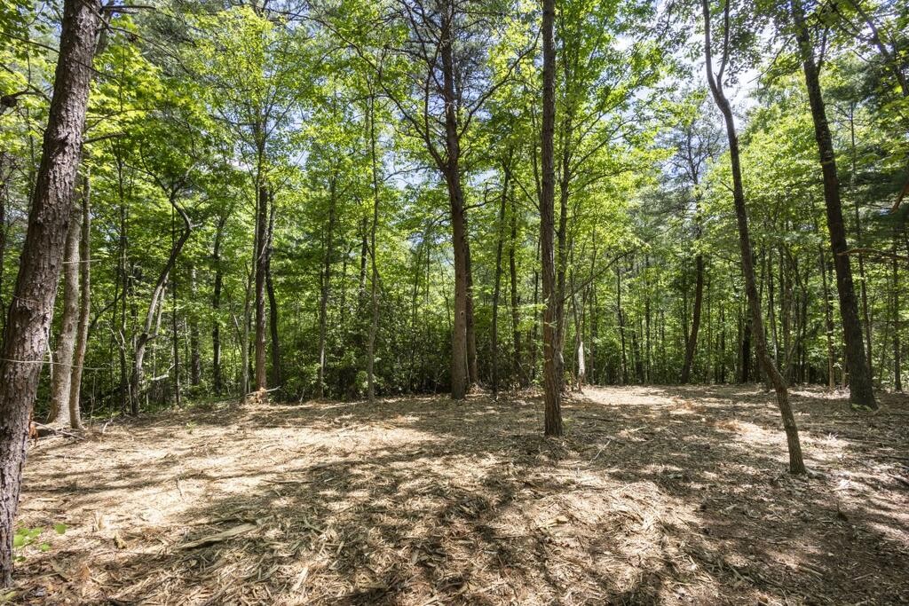 0 Donley Road Murphy, NC 28906 - Photo 16 of 37 Gallery Image 16
