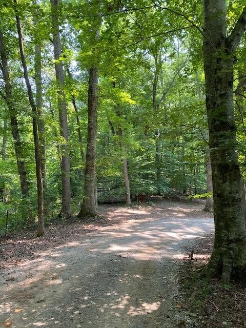 337 Hale Boat Dock Road Doyle, TN 38559 - Photo 10 of 12 Gallery Image 10