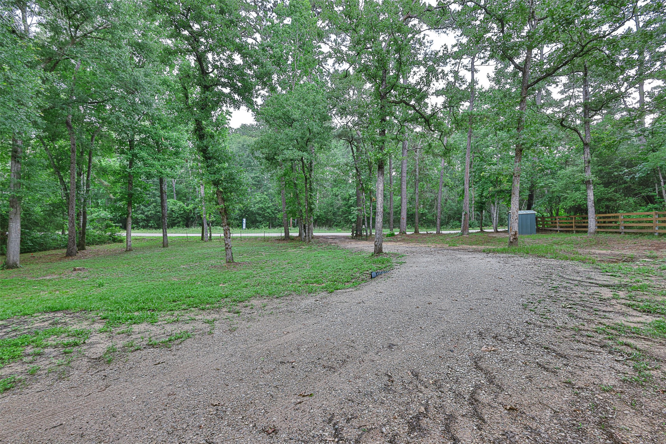 12028 Cedar Lane Conroe, TX 77303 - Photo 24 of 41 a view of a park with tree s